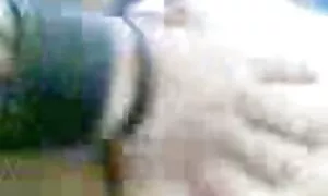 malay akshɔn 5 pan 1 ...